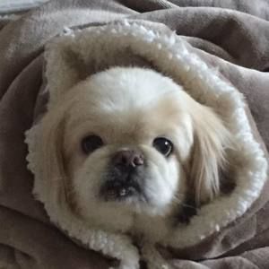 Meet your Posher, Karina